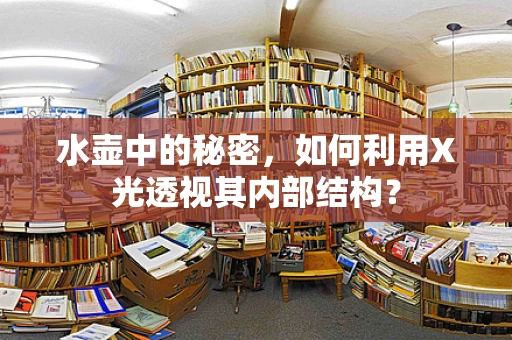 水壶中的秘密，如何利用X光透视其内部结构？