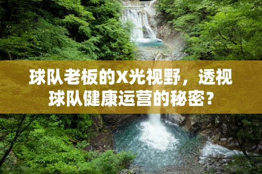 球队老板的X光视野，透视球队健康运营的秘密？