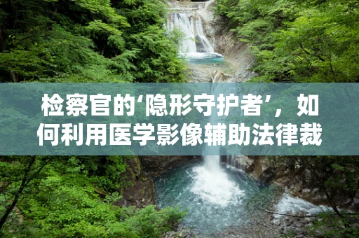 检察官的‘隐形守护者’，如何利用医学影像辅助法律裁决？