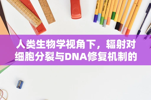 人类生物学视角下，辐射对细胞分裂与DNA修复机制的影响是什么？