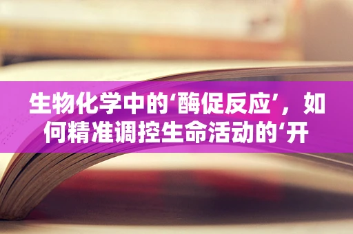 生物化学中的‘酶促反应’，如何精准调控生命活动的‘开关’？