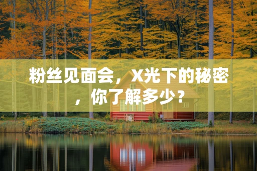 粉丝见面会，X光下的秘密，你了解多少？