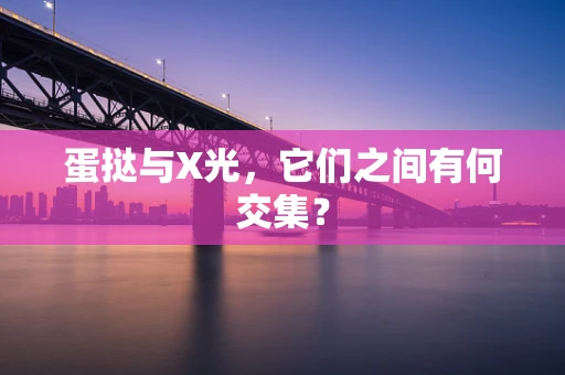 蛋挞与X光，它们之间有何交集？