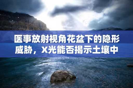 医事放射视角花盆下的隐形威胁，X光能否揭示土壤中的异物？