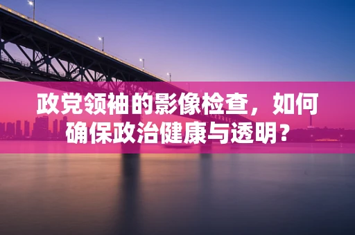 政党领袖的影像检查，如何确保政治健康与透明？