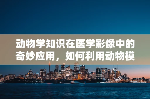 动物学知识在医学影像中的奇妙应用，如何利用动物模型优化放射治疗计划？