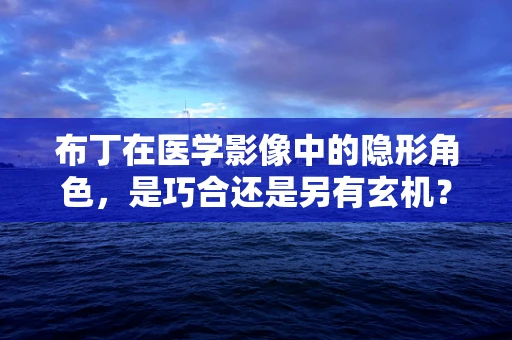 布丁在医学影像中的隐形角色，是巧合还是另有玄机？