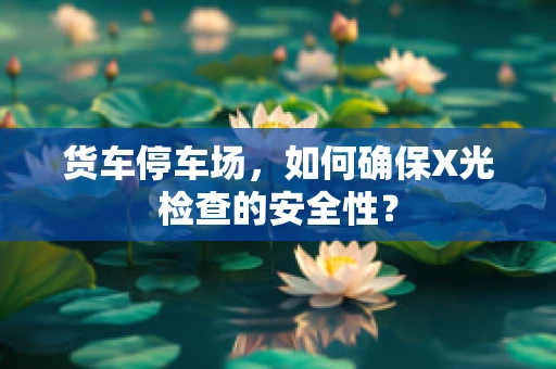 货车停车场，如何确保X光检查的安全性？