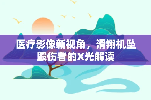 医疗影像新视角，滑翔机坠毁伤者的X光解读