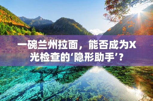 一碗兰州拉面，能否成为X光检查的‘隐形助手’？