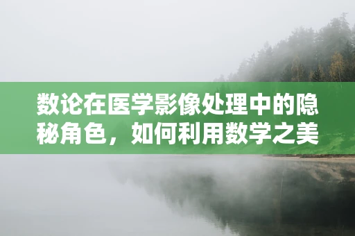 数论在医学影像处理中的隐秘角色，如何利用数学之美优化图像分辨率？