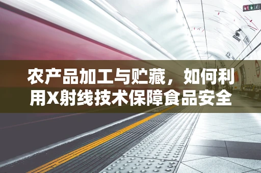 农产品加工与贮藏，如何利用X射线技术保障食品安全？