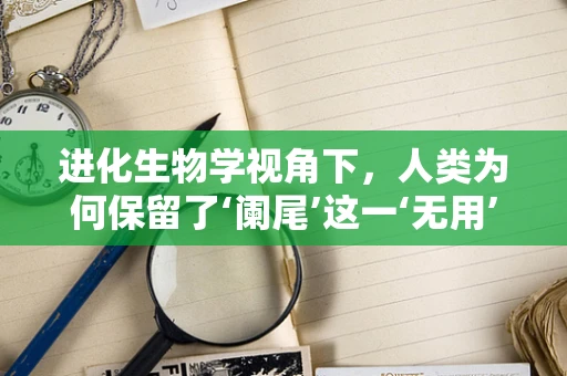 进化生物学视角下，人类为何保留了‘阑尾’这一‘无用’器官？