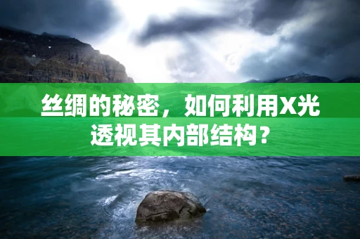 丝绸的秘密，如何利用X光透视其内部结构？