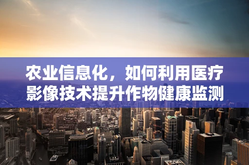 农业信息化，如何利用医疗影像技术提升作物健康监测的精准度？